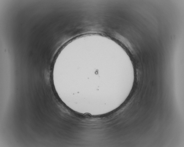 X0000111421260200908241125