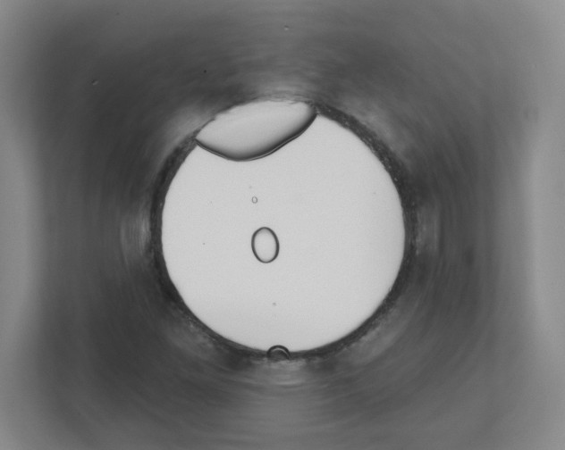 X0000111421261200908241125