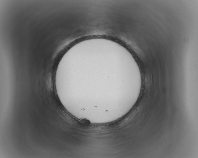 X0000111421262200908241125