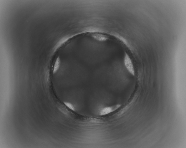 X0000111421263200908241125