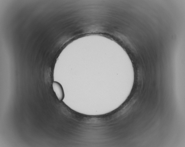 X0000111421265200908241125