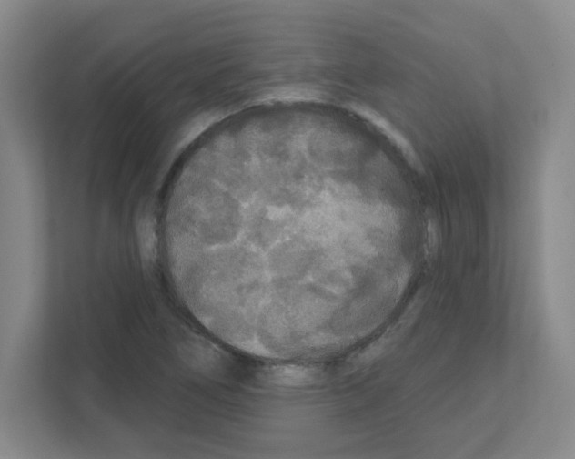 X0000111421266200908241125
