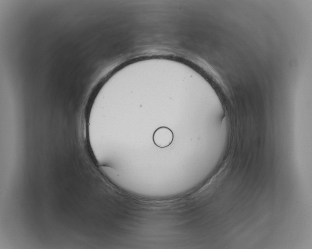X0000111421269200908241125