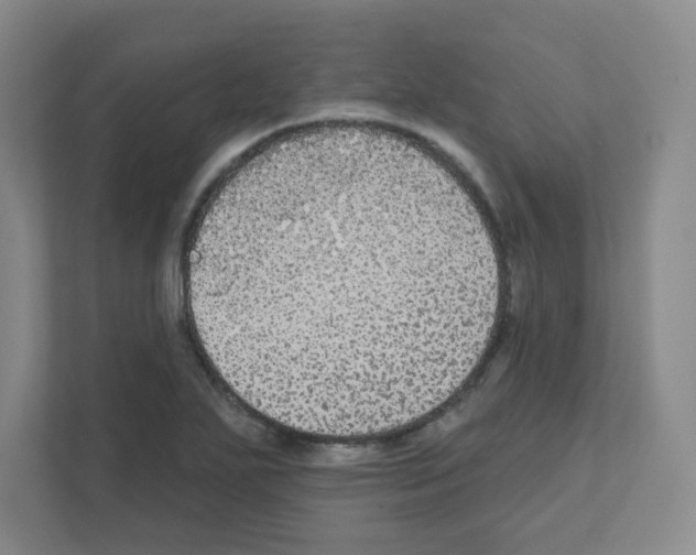 X0000111421271200908241125