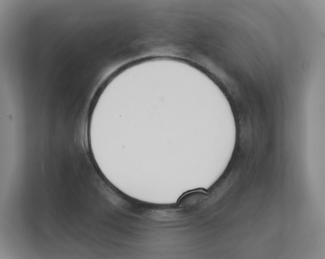 X0000111421272200908241125
