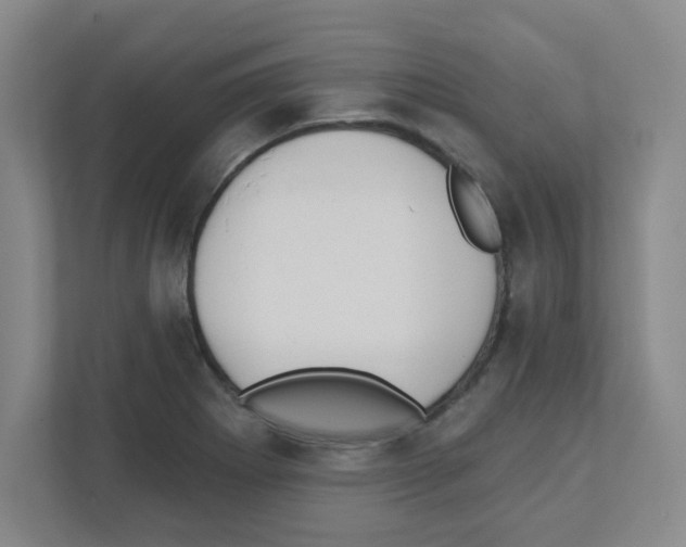 X0000111421273200908241125
