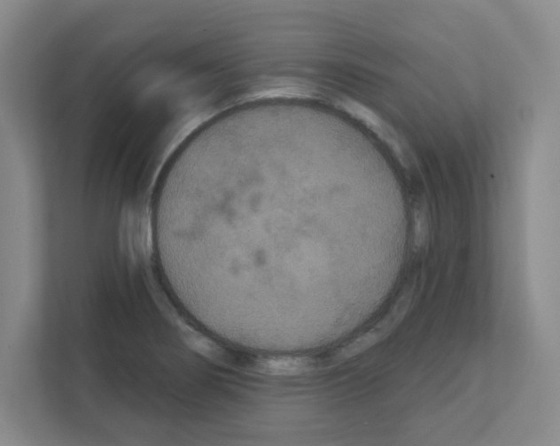 X0000111421274200908241125