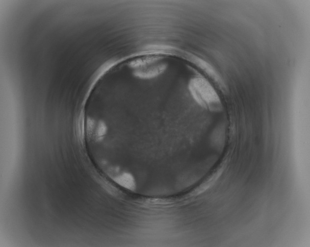 X0000111421275200908241125
