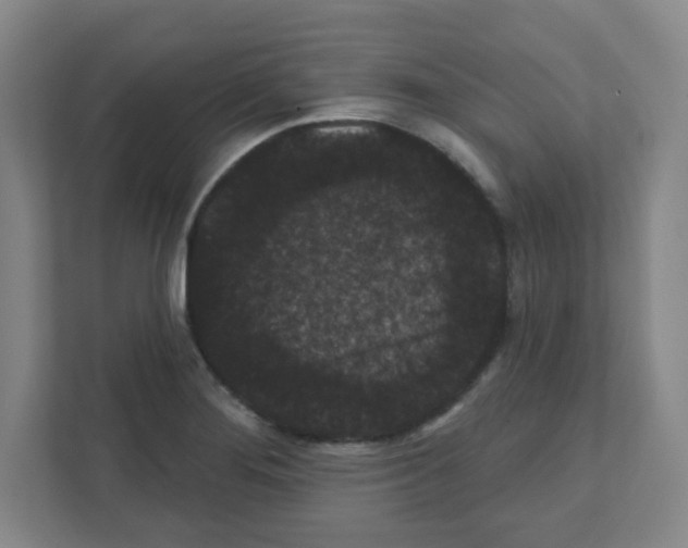 X0000111421276200908241125