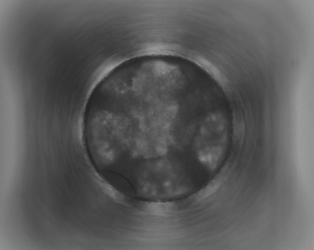 X0000111421277200908241125