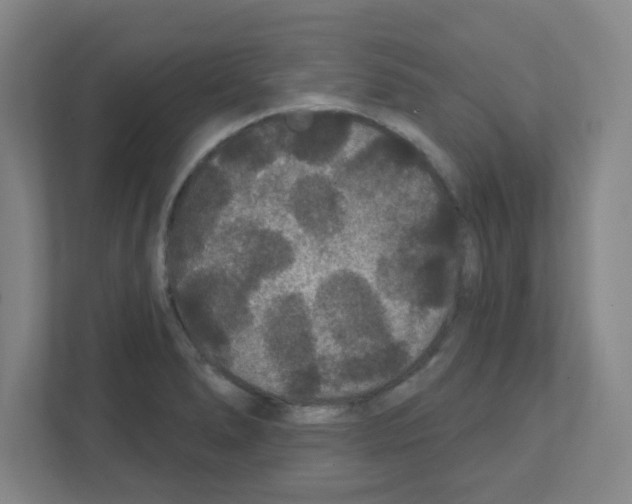 X0000111421278200908241125