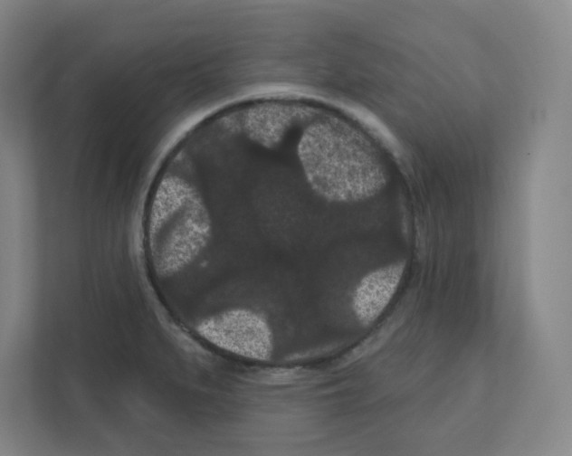 X0000111421279200908241125
