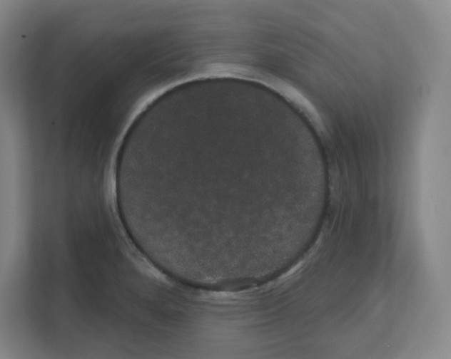 X0000111421280200908241125