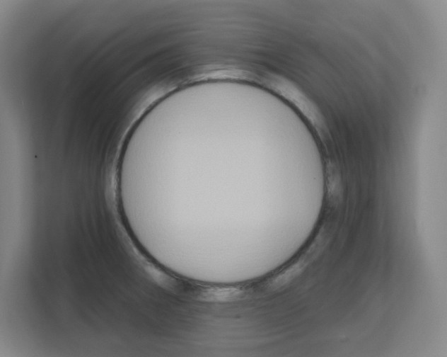 X0000111421282200908241125