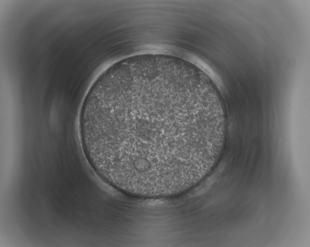 X0000111421283200908241124