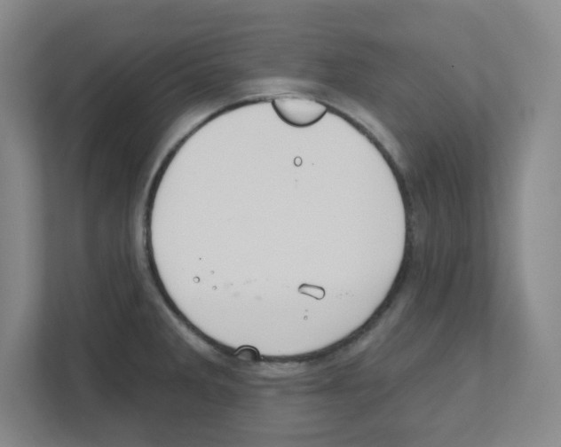 X0000111421285200908241124