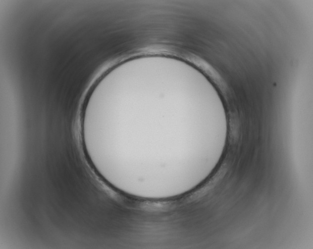 X0000111421286200908241124