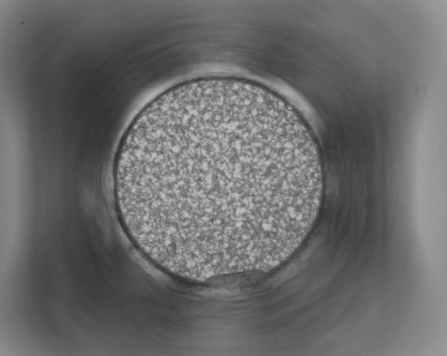 X0000111421287200908241124