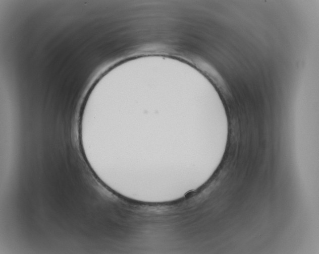X0000111421288200908241124