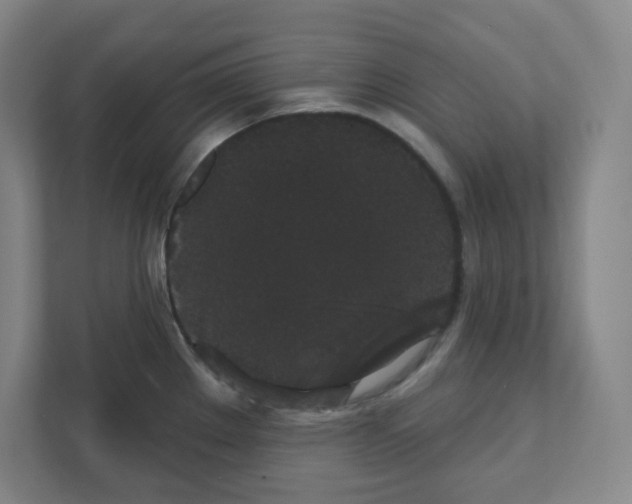 X0000111421289200908241124