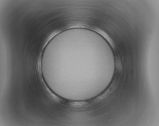 X0000111421290200908241124