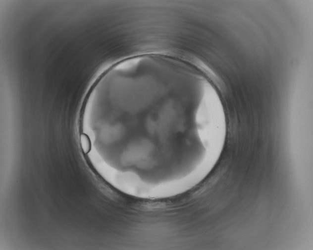 X0000111421291200908241124