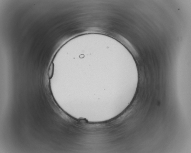 X0000111421292200908241124