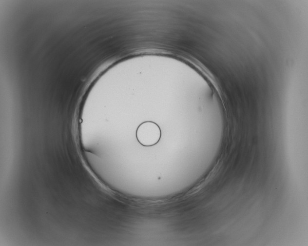X0000111421293200908241124