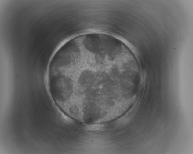 X0000111421294200908241124