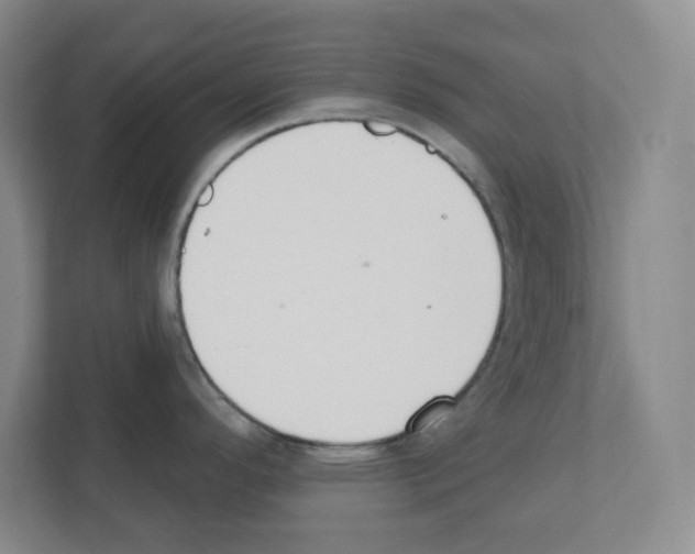 X0000111421296200908241124
