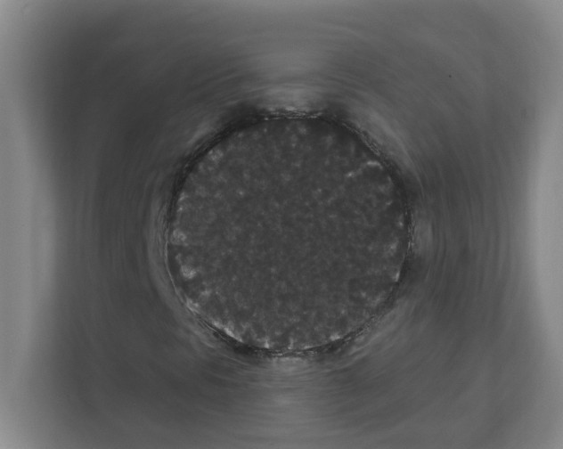 X0000111421297200908241124