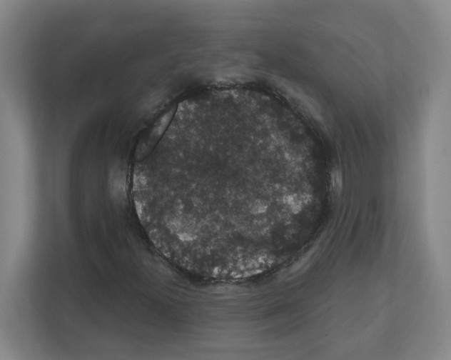 X0000111421300200908241124