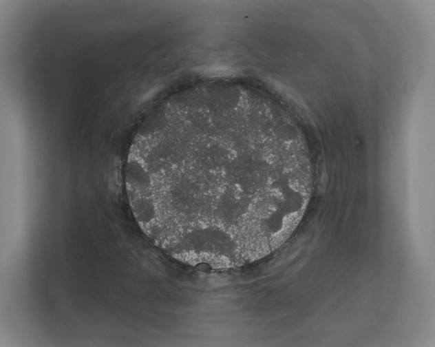 X0000111421301200908241124