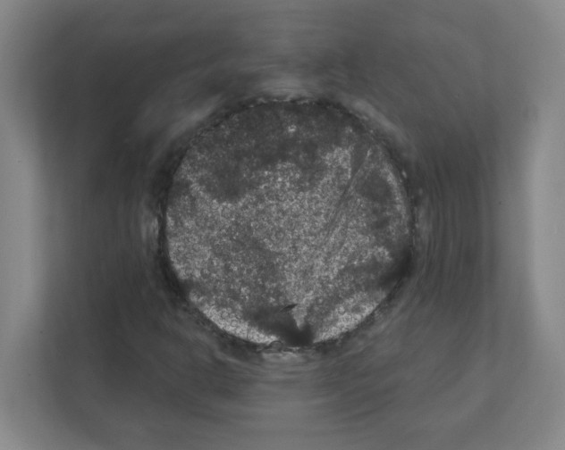 X0000111421302200908241124