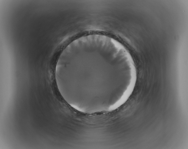 X0000111421303200908241124