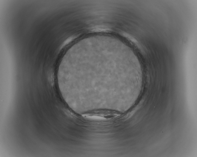 X0000111421306200908241124