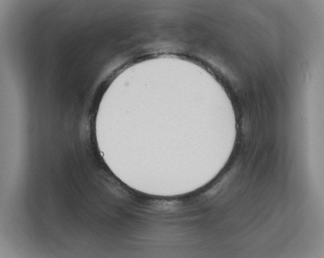 X0000111421309200908241124