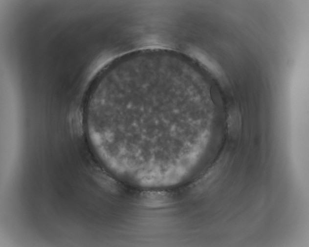 X0000111421310200908241124