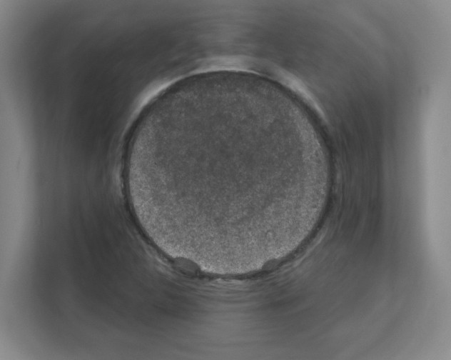 X0000111421312200908241124