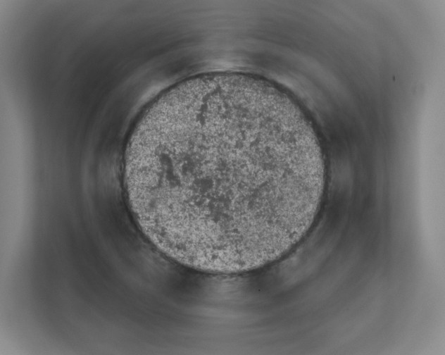 X0000111421314200908241124