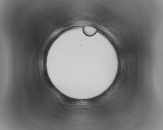 X0000111421315200908241124