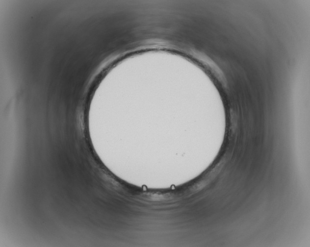 X0000111421318200908241124