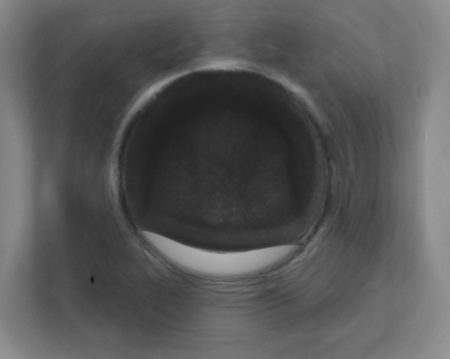 X0000111421319200908241124