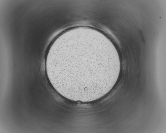 X0000111421320200908241124