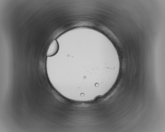 X0000111421321200908241124
