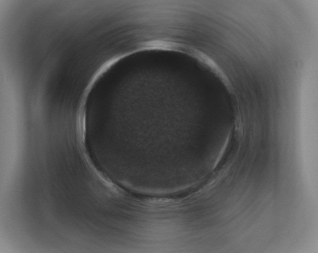 X0000111421323200908241124