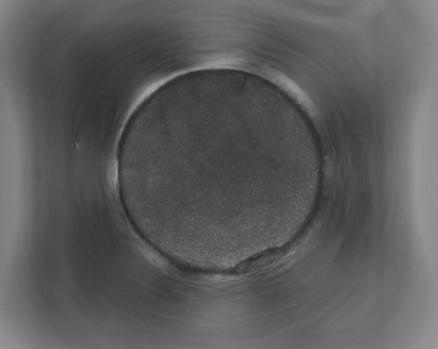 X0000111421324200908241124