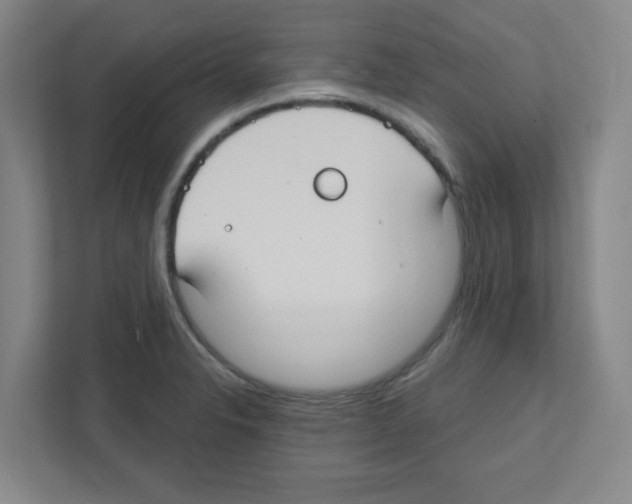 X0000111421326200908241124
