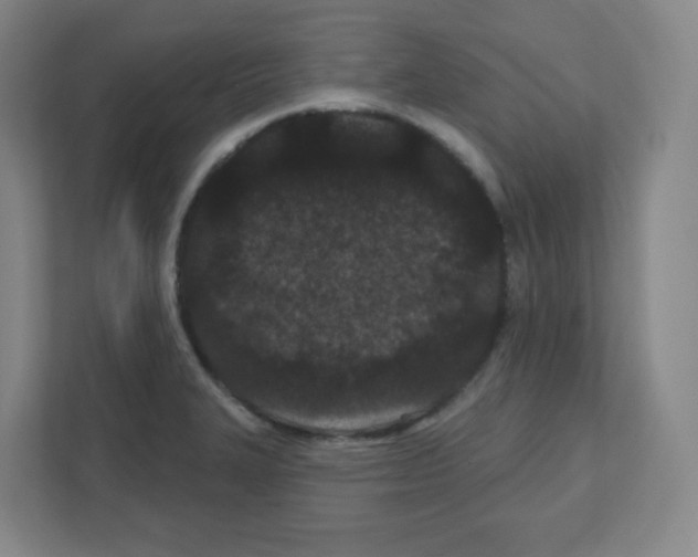 X0000111421327200908241124