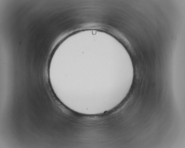 X0000111421328200908241124